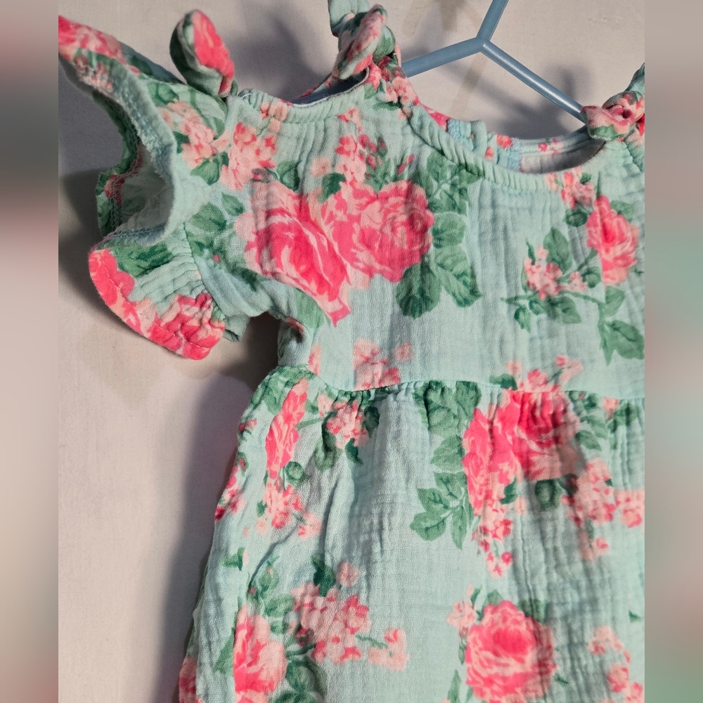 Floral MudPie 24mo/2T Light Blue Dress with Pink Roses